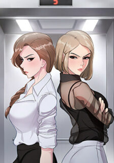 Read Cat Fight manhwa from toomics for free